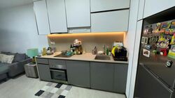 Normanton Park (D5), Apartment #535122321